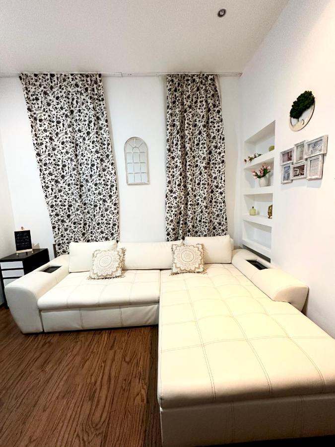 Harmony Homes- Piata Unirii Central Apartament Тимишоара Экстерьер фото