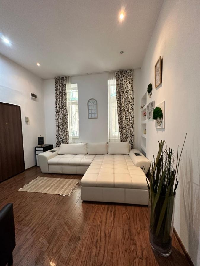 Harmony Homes- Piata Unirii Central Apartament Тимишоара Экстерьер фото