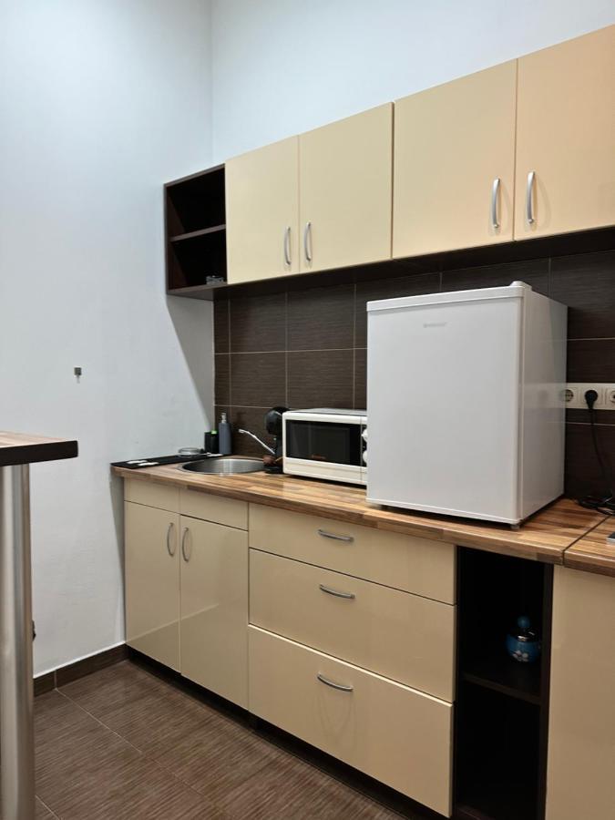 Harmony Homes- Piata Unirii Central Apartament Тимишоара Экстерьер фото